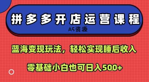 拼多多开店运营课程：蓝海变现玩法，轻松实现睡后收入，零基础小白也可日入5张-A5资源网