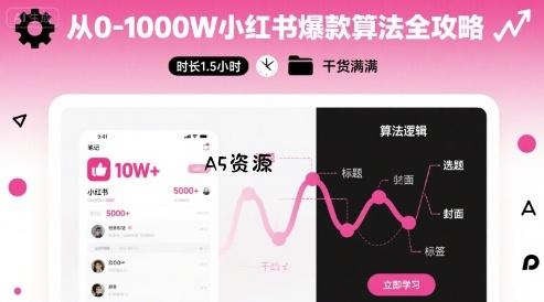 从0-1000W小红书爆款算法全攻略，时长1.5小时，干货满满-A5资源网