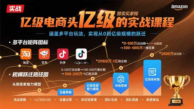 亿级电商头部卖家的实战课程：涵盖多平台玩法，实现从0到亿级规模的跃迁-A5资源网