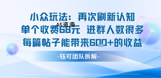 小众玩法再次刷新认知单个收费68米进群人数很多每篇帖子能带来6张的收益-A5资源网
