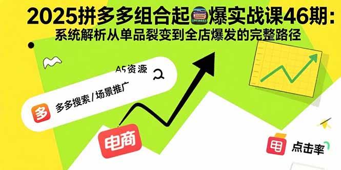 2025拼多多组合起爆实战课46期：系统解析从单品裂变到全店爆发的完整路径-A5资源网