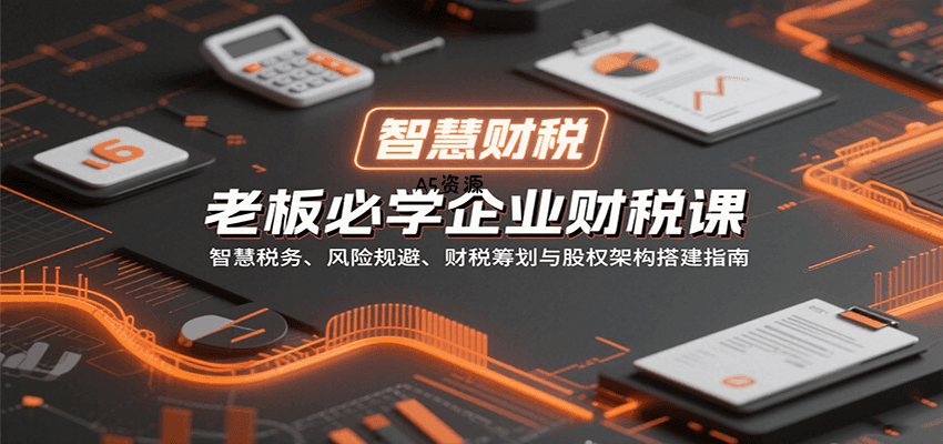 老板必学企业财税课：智慧税务、风险规避、财税筹划与股权架构搭建指南-A5资源网