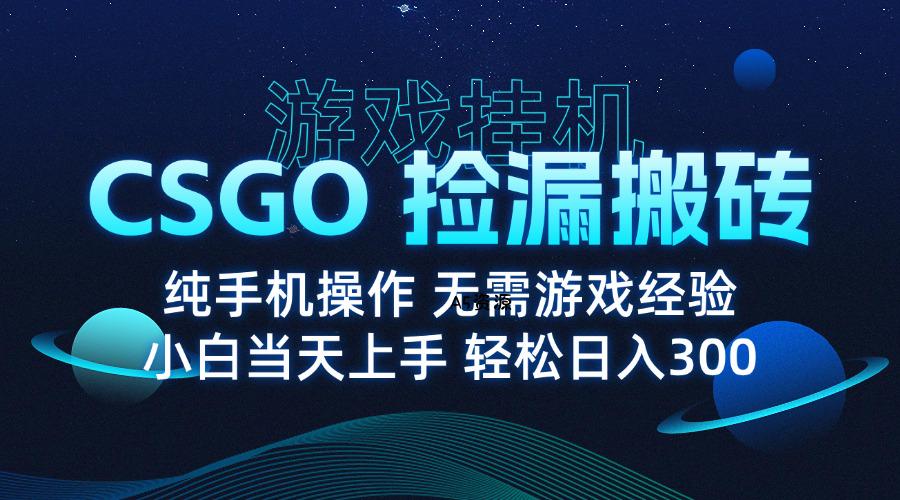 8月最新游戏搬砖，CSGO纯挂机，不需要玩游戏，实现真挂机，月入1W+-A5资源网