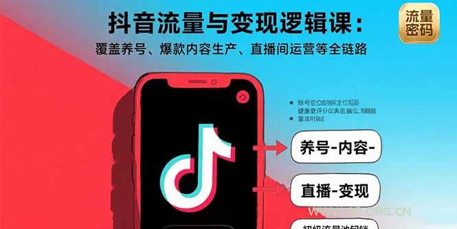抖音流量与变现逻辑课：覆盖养号、爆款内容生产、直播间运营等全链路-A5资源网