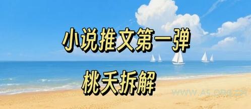小说推文项目操作全流程第一弹，0粉就能做，门槛低非常适合新手-A5资源网