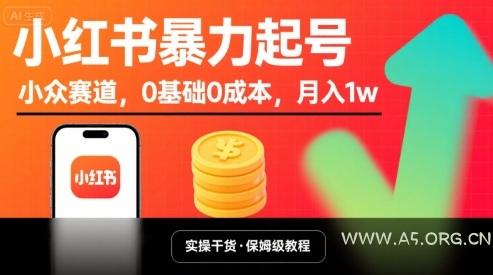 小红书暴力起号，小众赛道，0基础0成本，月入1w-A5资源网