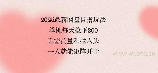 2025最新网盘自撸玩法，单机每天稳下3张，无需流量和拉人头，一个人就可轻松矩阵，全网独一份【揭秘】-A5资源网
