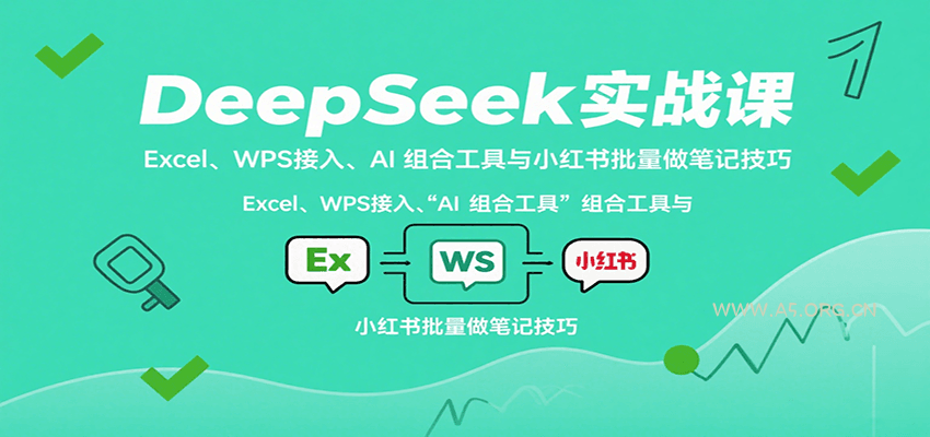 DeepSeek实战课：Excel、WPS接入、AI 组合工具与小红书批量做笔记技巧-A5资源网