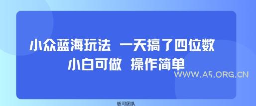 小众蓝海玩法 一天搞了四位数 小白可做 操作简单-A5资源网