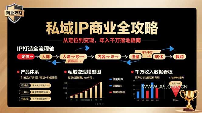 私域IP商业全攻略，从定位到变现，年入千万落地指南-A5资源网