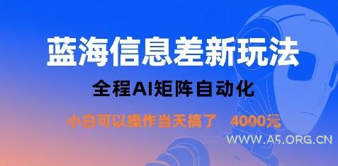 蓝海信息差新玩法，全程AI矩阵自动化小白可以操作当天搞了1k+-A5资源网