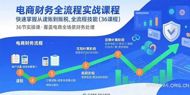 电商财务全流程实战课程：快速掌握从建账到报税的全流程技能(36节课-A5资源网