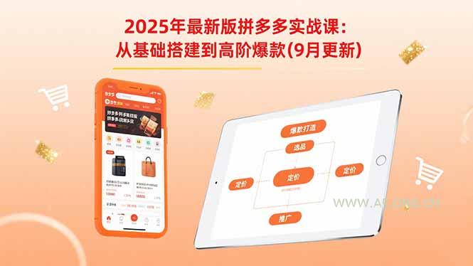 2025年最新版拼多多实战课：从基础搭建到高阶爆款(9月更新-A5资源网