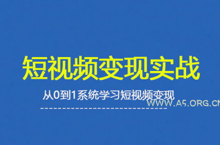 杨磊老师·2025短视频变现实战课-A5资源网