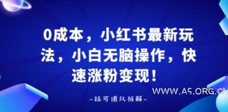 0成本，小红书最新玩法，小白无脑操作，快速涨粉变现-A5资源网