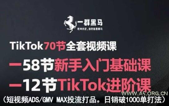 TikTok全套视频课，新手入门+进阶课，短视频ADS-GMV MAX投流打品，日销破1000单打法-A5资源网