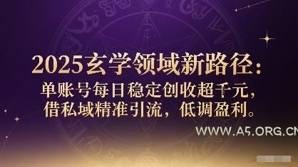 2025玄学领域新路径：单账号每日稳定创收1k+，借私域精准引流，低调盈利-A5资源网