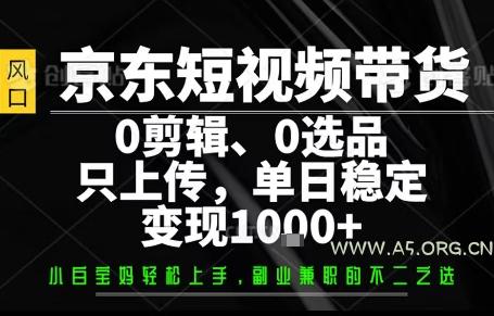 你出账号，我来运营，保底日入1k+，开启躺賺模式【揭秘】-A5资源网