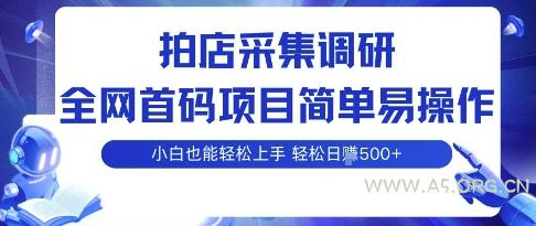 拍店采集调研，全网首码项目，简单易操作， 小白也能轻松上手，多账号操作，轻松日入5张【揭秘】-A5资源网