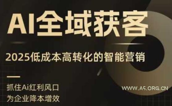 AI全域获客实训营，2025低成本高转化的智能营销，精准找客，高效营销-A5资源网
