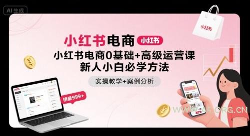 小红书电商0基础+高级运营课，新人小白必学方法，实操教学+案例分析-A5资源网