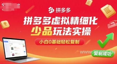 拼多多虚拟精细化少品玩法实操，小白0基础轻松复制-A5资源网