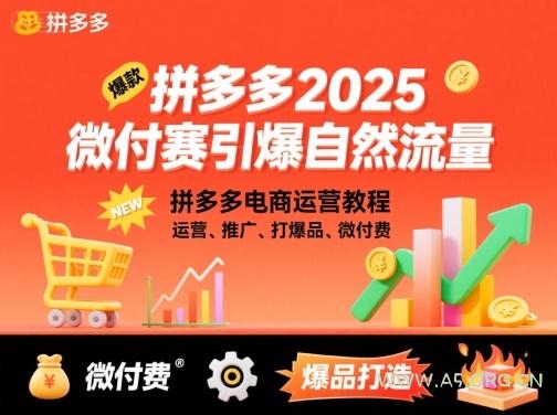 拼多多2025微付赛引爆自然流量，拼多多电商运营教程，运营、推广、打爆品、微付费-A5资源网