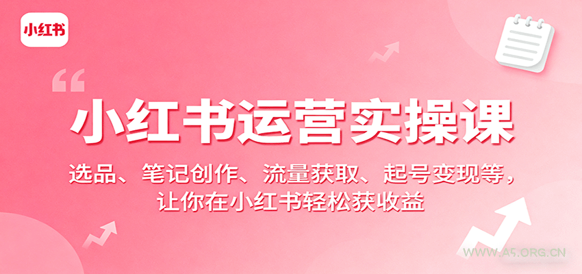 小红书运营实操课：选品、笔记创作、流量获取、起号变现等，让你在小红书轻松获收益-A5资源网