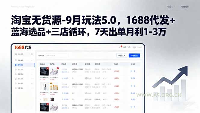 淘宝无货源-9月玩法5.0，1688代发+蓝海选品+三店循环，7天出单月利1-3万-A5资源网