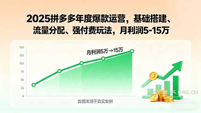 2025拼多多年度爆款运营，基础搭建、流量分配、强付费玩法，月利润5-15万-A5资源网