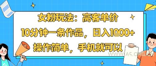 女粉玩法：高客单价，10分钟一条作品，日入1k+操作简单，手机就可以-A5资源网