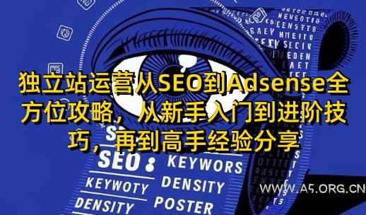 独立站运营从SEO到Adsense全方位攻略，从新手入门到进阶技巧，再到高手经验分享-A5资源网