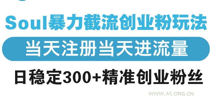 Soul暴力截流创业粉玩法，当天注册当天进流量，日稳定300+精准创业粉丝-A5资源网