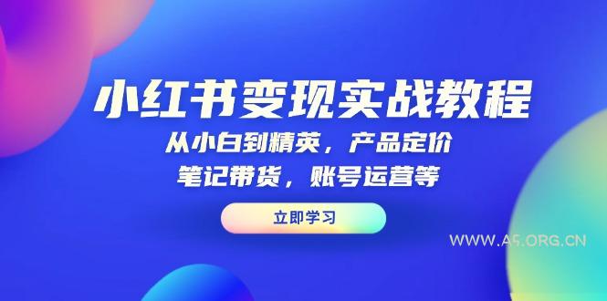 小红书变现实战教程：从小白到精英，产品定价，笔记带货，账号运营等-A5资源网
