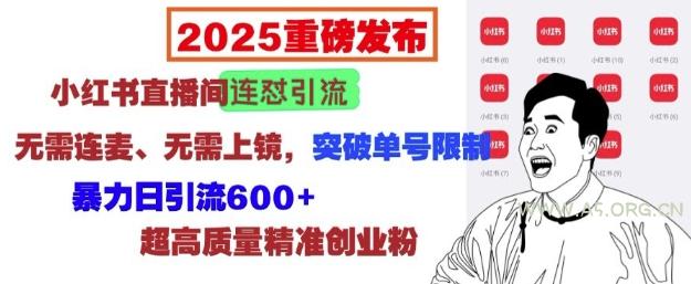 2025重磅发布：小红书直播间连怼引流，无需连麦、无需上镜，突破单号限制，暴力日引流600+-A5资源网