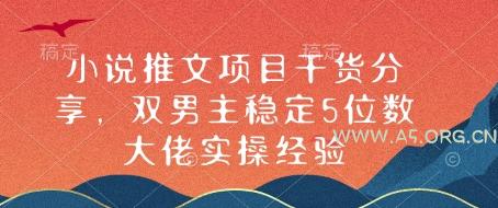 小说推文项目干货分享，双男主稳定5位数大佬实操经验-A5资源网