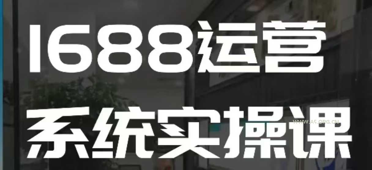 1688高阶运营系统实操课，快速掌握1688店铺运营的核心玩法-A5资源网