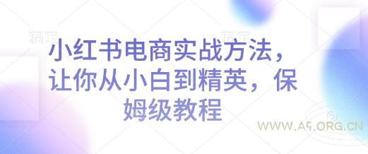 小红书电商实战方法，让你从小白到精英，保姆级教程-A5资源网