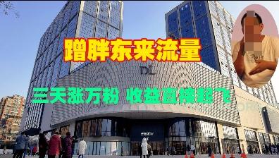 蹭胖东来流量，三天涨万粉，收益直接起飞-A5资源网