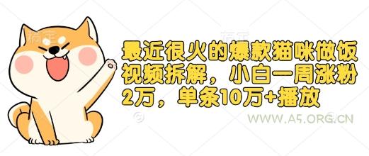 最近很火的爆款猫咪做饭视频拆解，小白一周涨粉2万，单条10万+播放(附保姆级教程)-A5资源网