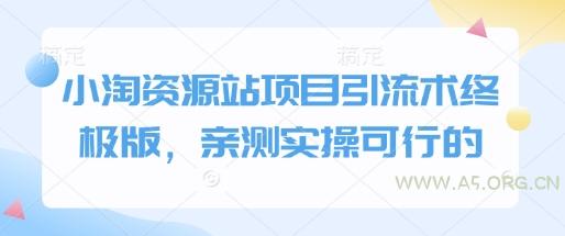 小淘资源站项目引流术终极版，亲测实操可行的-A5资源网