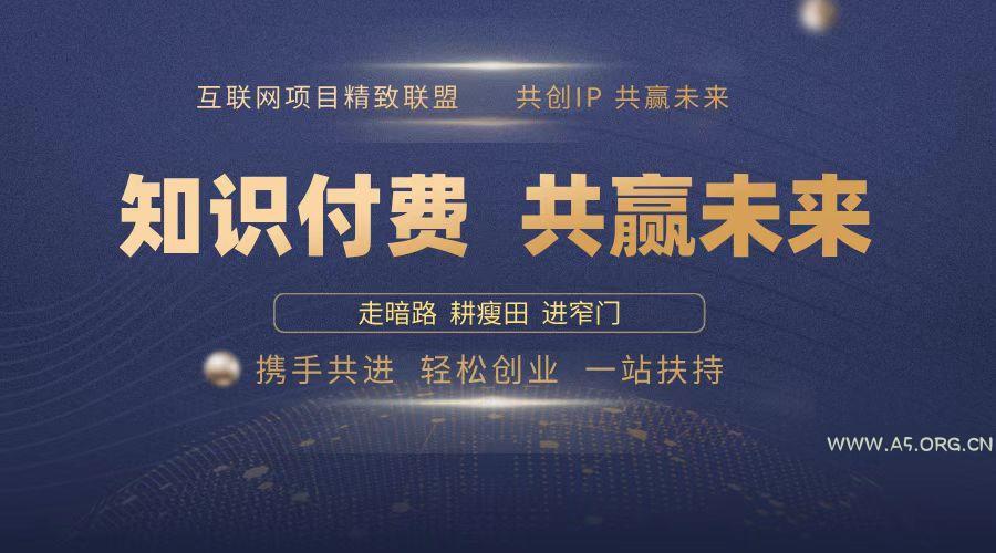 2025年 如何通过 “知识付费” 卖项目月入十万、年入百万，布局2025与…-A5资源网