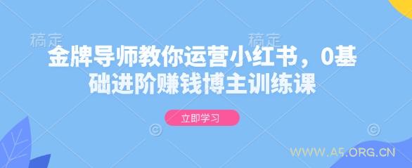 金牌导师教你运营小红书，0基础进阶赚钱博主训练课-A5资源网