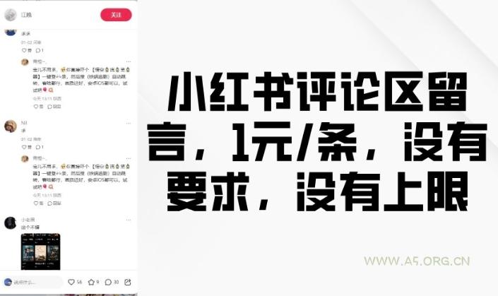 小红书评论区留言，1元条，没有要求，没有上限-A5资源网