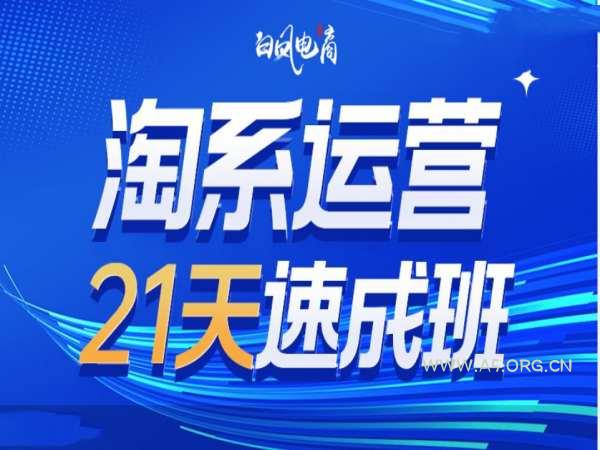 淘系运营21天速成班35期，年前最后一波和2025方向-A5资源网