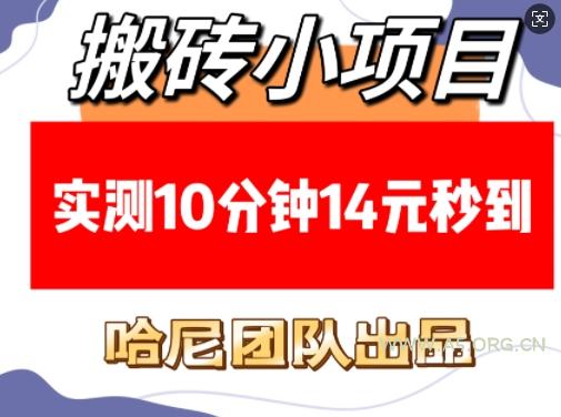 搬砖小项目，实测10分钟14元秒到，每天稳定几张(赠送必看稳定)-A5资源网