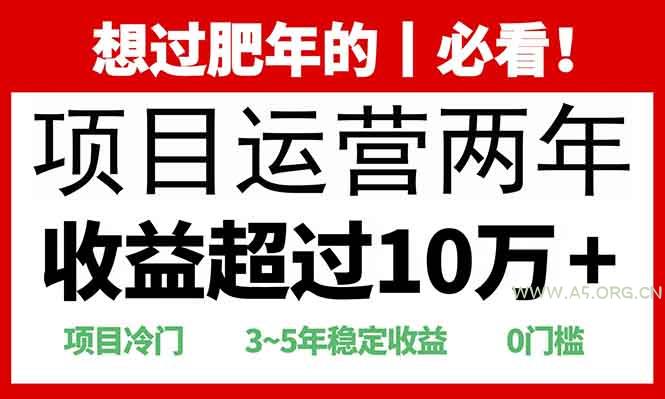 2025快递站回收玩法：收益超过10万+，项目冷门，0门槛-A5资源网
