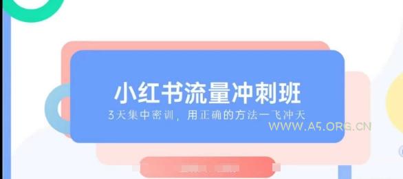 小红书流量冲刺班2025，最懂小红书的女人，快速教你2025年入局小红书-A5资源网