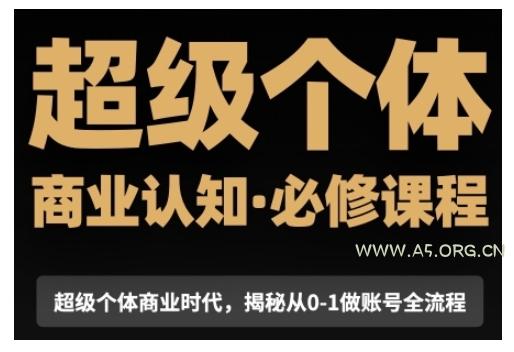超级个体商业认知觉醒视频课，商业认知·必修课程揭秘从0-1账号全流程-A5资源网