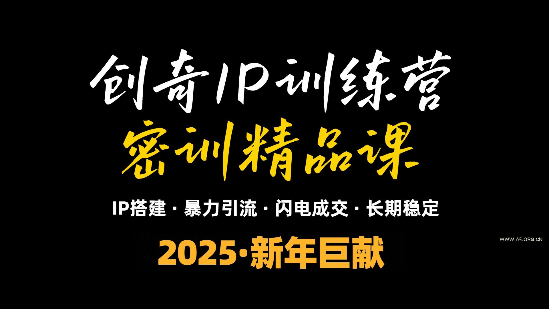 2025年“知识付费IP训练营”小白避坑年赚百万，暴力引流，闪电成交-A5资源网